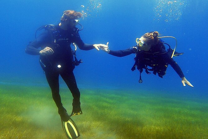 Underwater Tenerife – 1-on-1 Personalized Scuba Diving Adventure - Cancellation and Booking Options