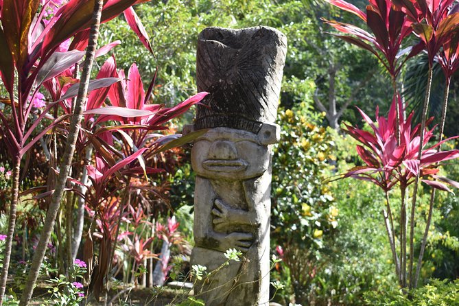 Unearth Indigenous Wisdom and Hike Through Lush Rainforest - Navigating the Lush Rainforest
