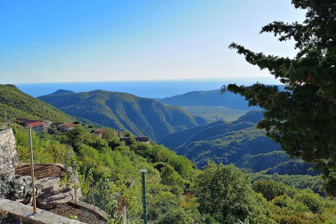 Unique Lunch Experience With Locals in High Hills Above Budva! - Highlights of the Experience