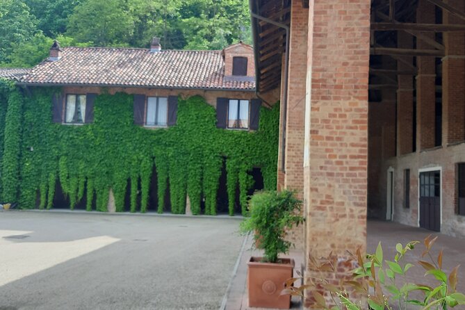Unique Wine Tasting at the Winery of the Marchesi Incisa Della Rocchetta - Exploring the Wine Tasting