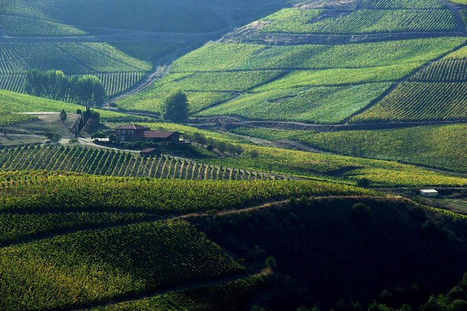 Upper Douro Walk & WineTour - Cancellation Policy and Refunds