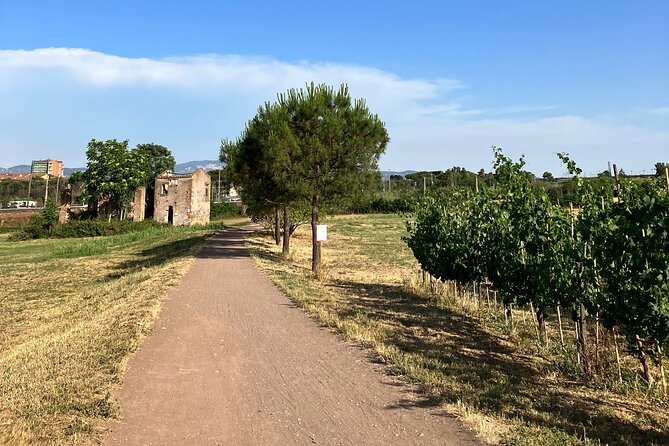 Urban Hike to the Aqueduct Park in Rome - Scenic Views Along the Aqueduct