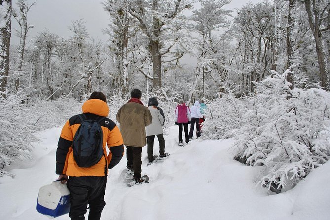 Ushuaia Night Adventure: Snowshoeing and Snowmobiling - Snowmobiling Across the Snowy Landscapes