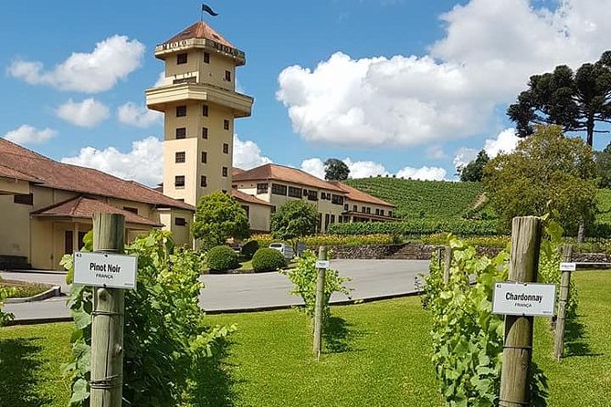 Vale Dos Vinhedos: Private Group Tour From Porto Alegre - Highlights of the Experience