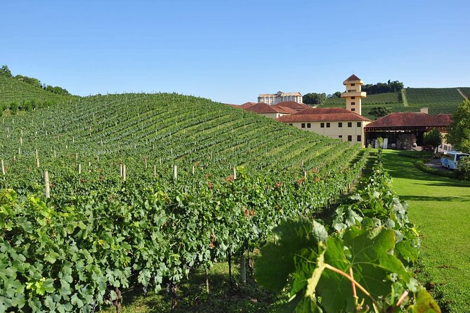 Vale Dos Vinhedos Private Tour From Porto Alegre or Gramado - Inclusions and Logistics