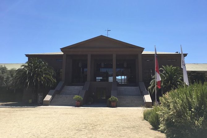 Valley of Casablanca - Sampling Local Wines and Cuisine