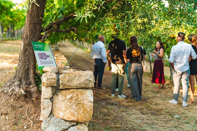 Venetian Villa Wine Tasting Tour Review - Highlights of the Valpolicella Wine Tasting