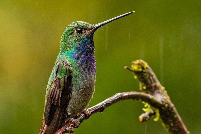 Venture Into Rio Quijos Scenic Valley - Exploration of the Quijos Valley