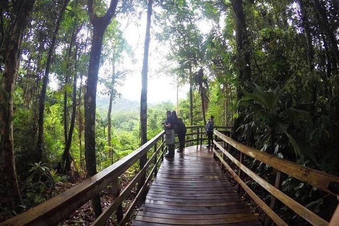 Veragua Rainforest Experience and Tram Ride in Puerto Limon - Inclusions and Logistics