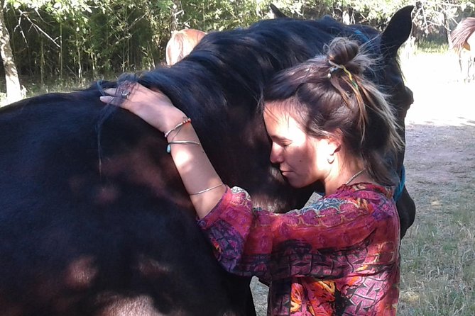 Vibrate Your Horse Heart - Healing With Horses - Location and Accessibility