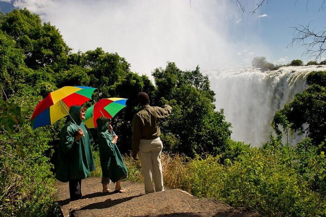 Victoria Falls Guided Tour - Customer Experience and Feedback