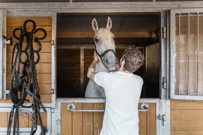 Vienna Horse-drawn Carriage Guided Tour - Itinerary and Logistics