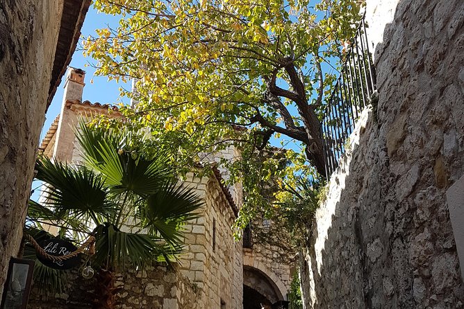 Villefranche Shore Excursion: 6 Hrs Private Tour of Nice, Eze and Monaco - Pickup and Confirmation