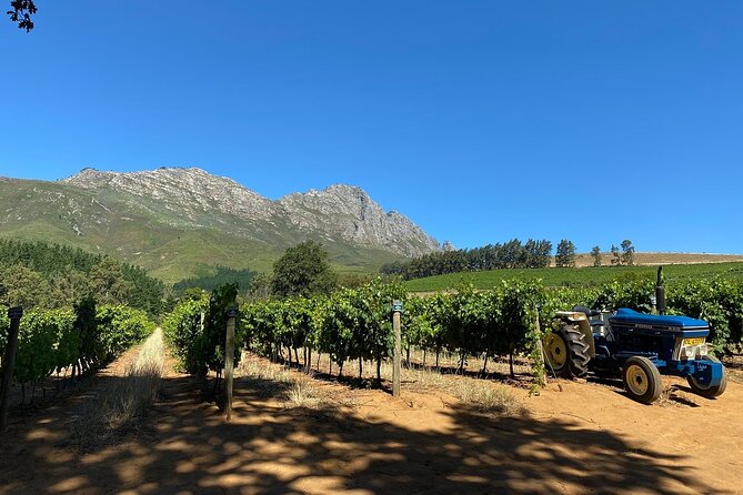 Vine Hopper: Hop-On Hop-Off Wine Tour - Northern Route - Featured Wineries