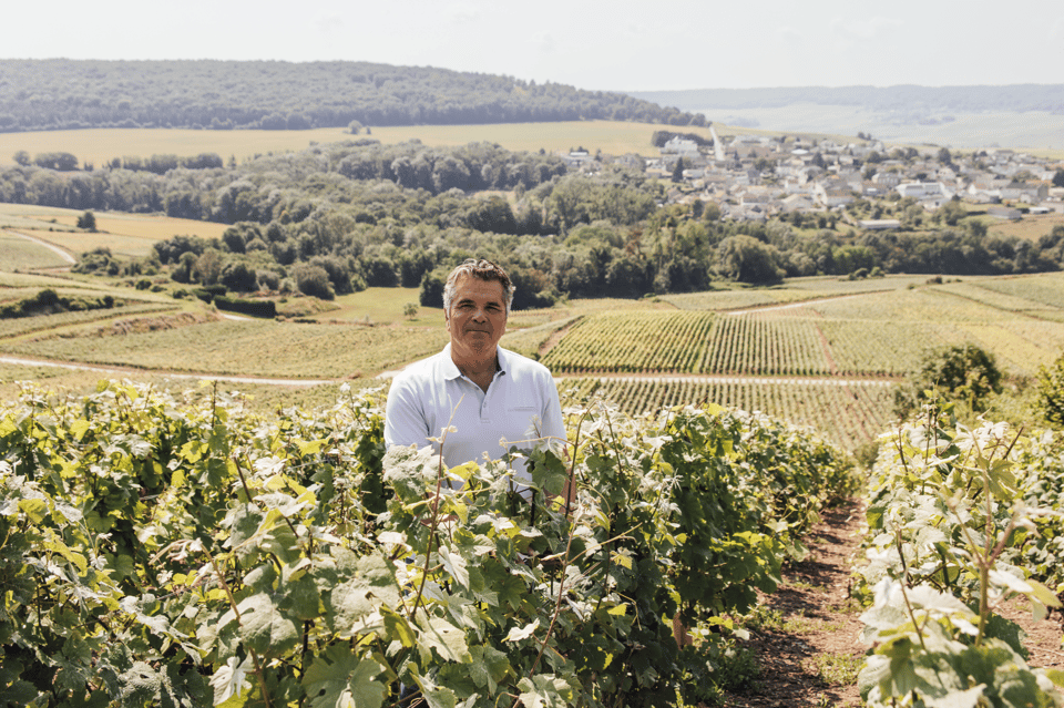 Vineyard Tour and Tasting With Champagne Ludovic David - Group Size