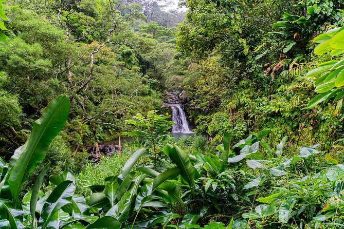 VIP Private Full-Day Road to Hana Tour From Lahaina-Kapalua - Itinerary Overview