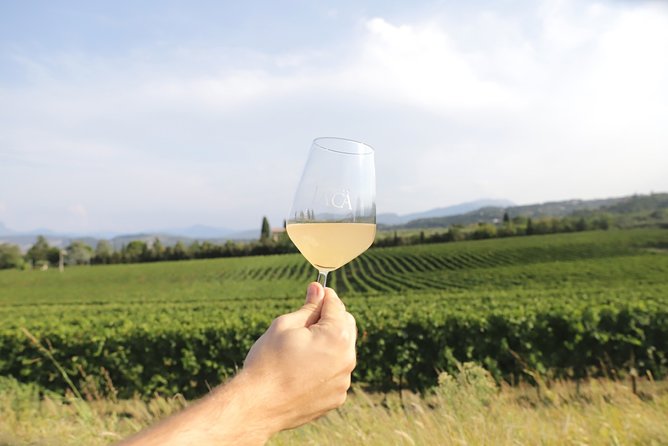 Visit and Wine Tasting at Tenuta La Cà - Cancellation Policy