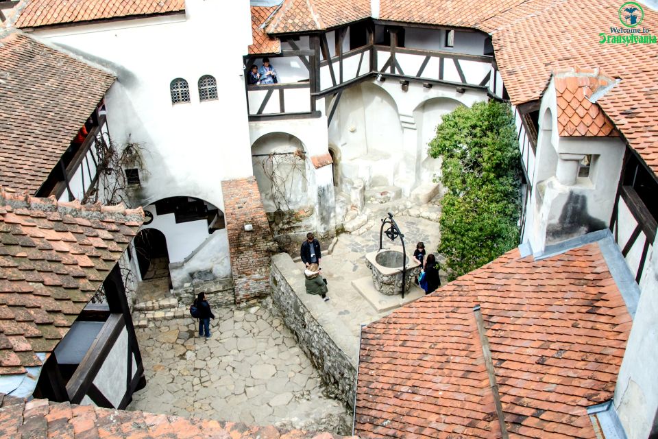 Visit Bear Sanctuary and Bran Castle From Brasov - Highlights of the Tour