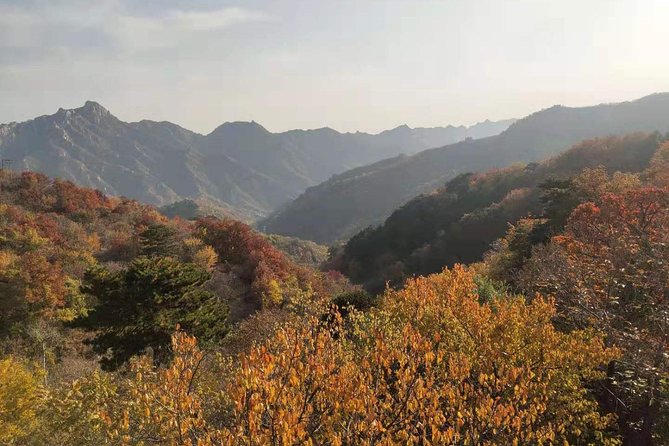 Visit Mutianyu Great Wall&Tea House With Private Car and English Speaking Driver - Traditional Tea Ceremony Experience