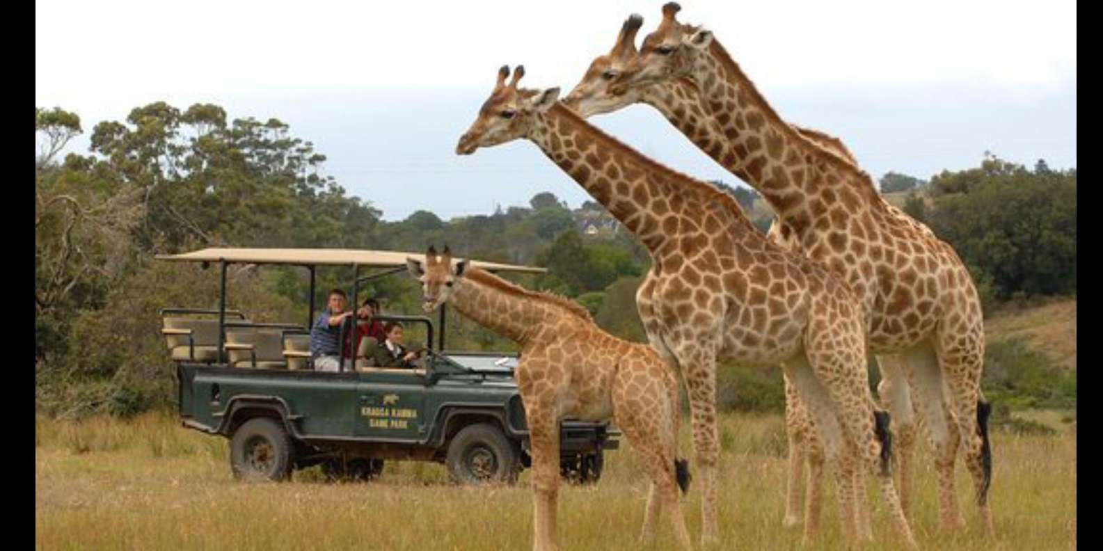 Visit Port Elizabeth :Kragga Kamma Private Wildlife Safari - Itinerary Highlights