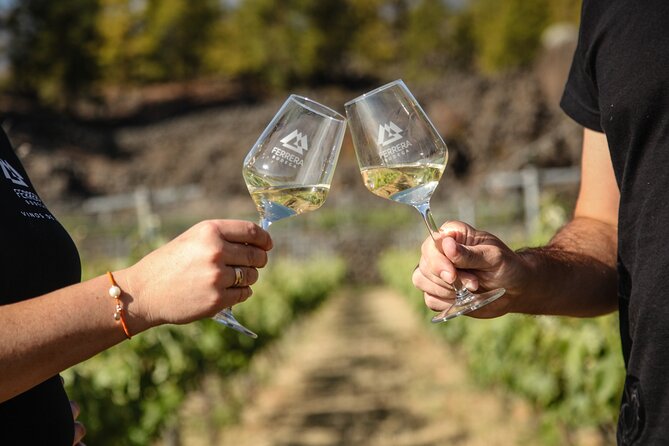 Visit to Arafo Mountain Vineyard and Organic Wine Tasting - Organic Wine Varieties Offered