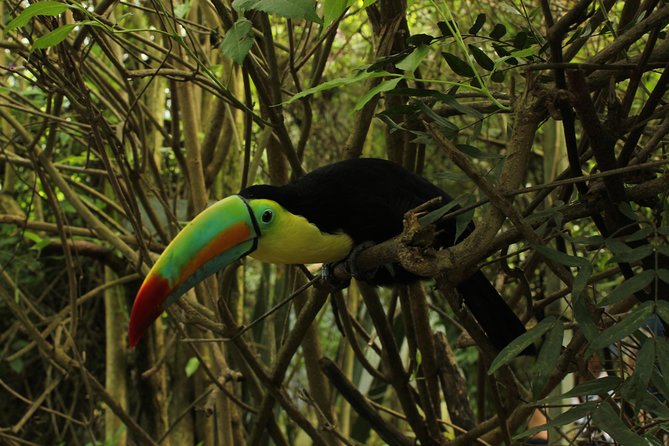 Visit to La Reserva BioPark Private Tour (6 Hrs.) - Meeting and Pickup