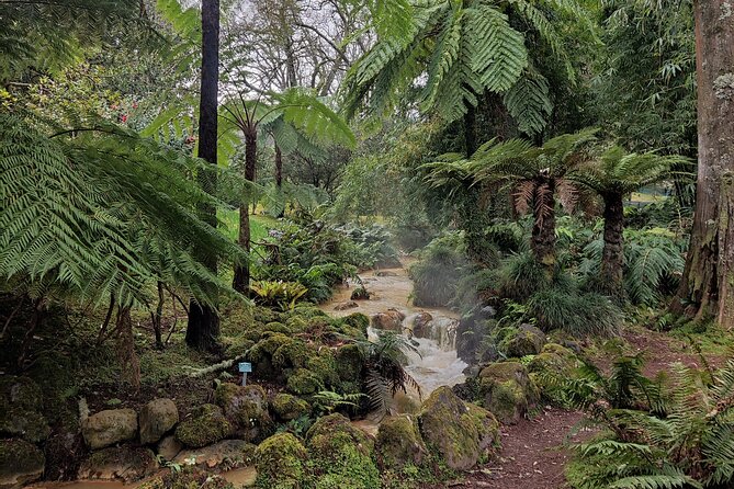 Volcano of Fogo and Furnas Private Tour - Tour Highlights and Experiences