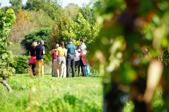 Vouvray and Chinon Wine Tour Review - Inclusions and Amenities