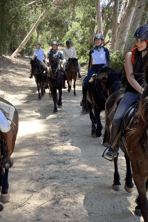 Vrede En Lust Wine Estate: 1H Breakfast Horse Trail - Booking Information