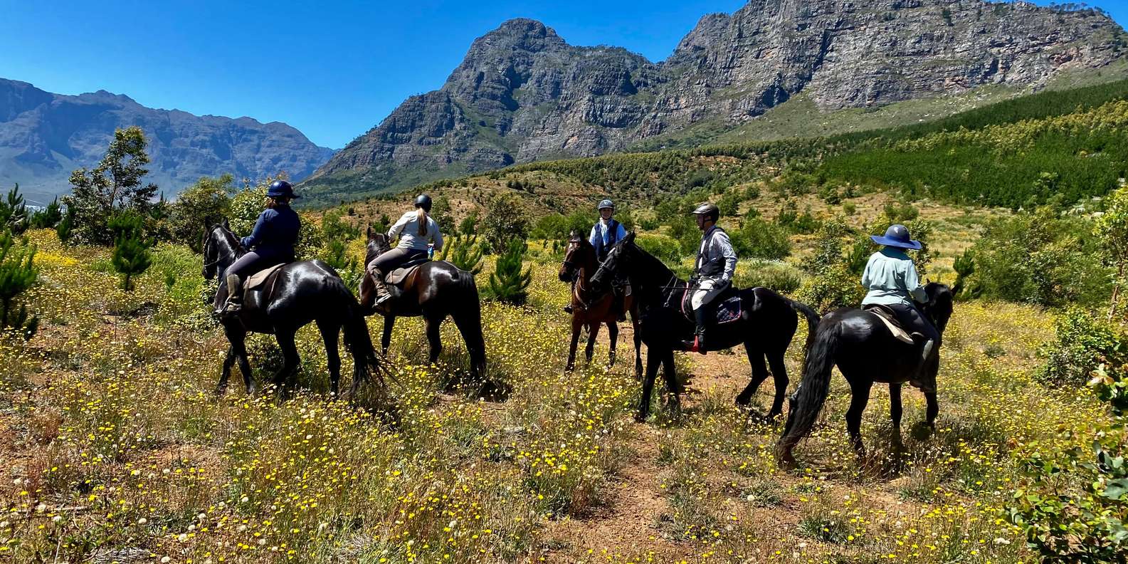 Vrede En Lust Wine Estate:1-Hour Horseback Riding Experience - Preparing for the Ride