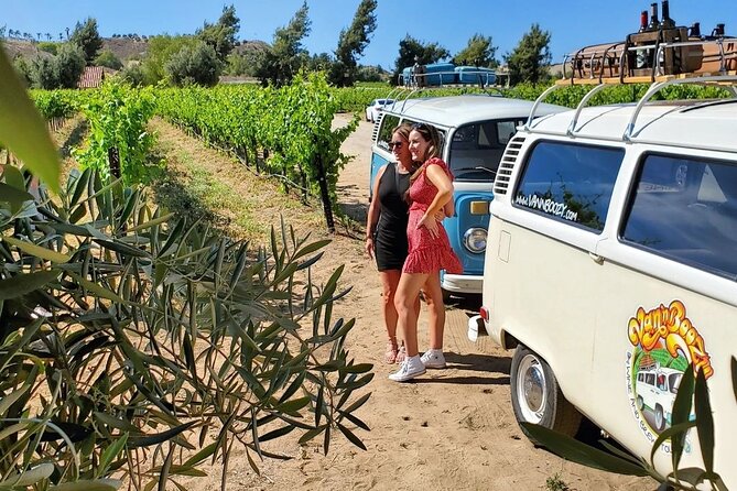 VW Bus Wine Tour of Temecula: The Ultimate California Experience - Vintage VW Bus Experience
