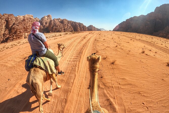 Wadi Rum: Camel Trek Adventure - Camel Trek Experience