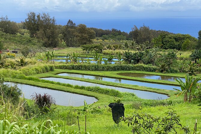 Waipi'o on Horseback: Mountain to Ocean Working Cattle Ranch - Tour Details and Pricing