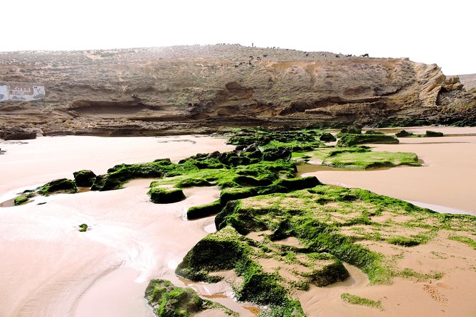 Walk Between Argan Forest, Ocean & Waterfalls. 12 Km - Highlights of the Walk