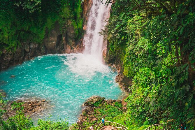 Walk in Río Celeste in Tenorio Volcano National Park - Included in the Tour