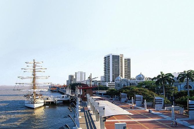 Walking Through the City of Guayaquil - Discovering Plaza La Rotonda