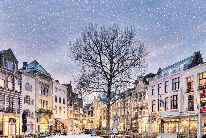 Walking Tour of the Hague With Royal Christmas Fair - Experience Highlights