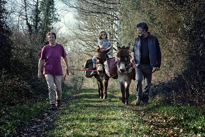 Walks and Hikes With Donkeys - Included Amenities