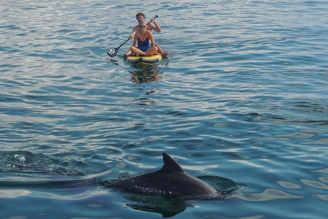 Watamu Marine Park & Sudi Island Mangrove Forest Canoe Ride.With Sea Food Lunch - Inclusions
