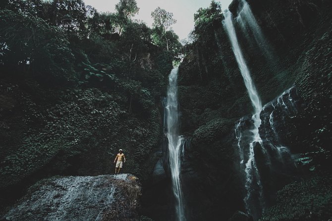 Waterfall (Northern Bali Trip) - Tips for a Great Experience