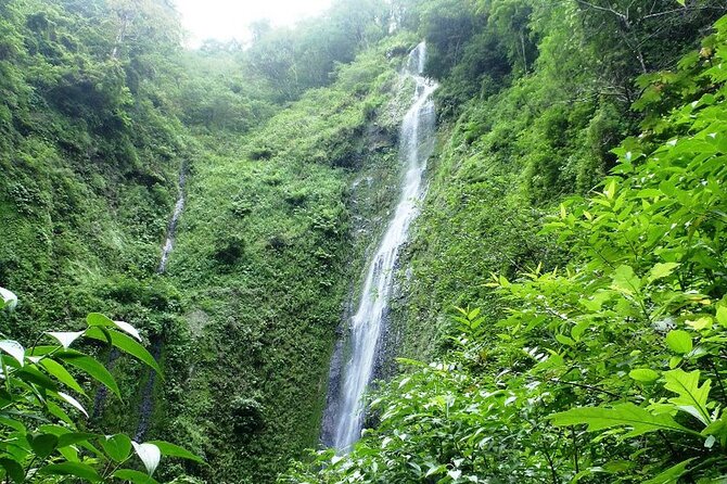 Waterfall, Sloth Expedition, Frogs Blue River Also in Costa Rica and Nicaragua - Inclusions and Logistics
