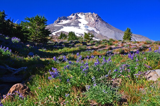 Waterfalls, Wine, and Timberline Tour - Meeting and Pickup Details
