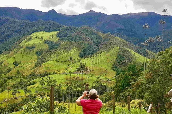 Wax Palms, Salento and Coffee Private Full Day Tour - Cocora Valley Experience