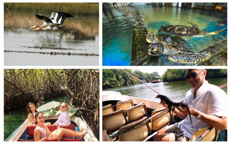 West Coast Beach, River Mangroves Lagoon, Wildlife Boat Tour - Pricing and Booking