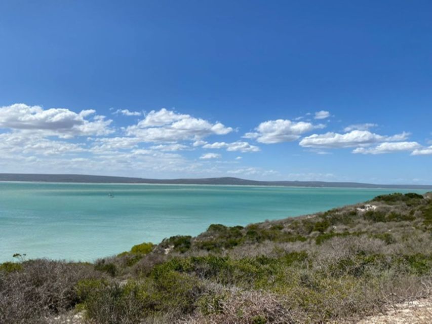 West Coast: Clicking Sounds & Stunning Lagoon (Private Tour) - The San Peoples Survival Skills