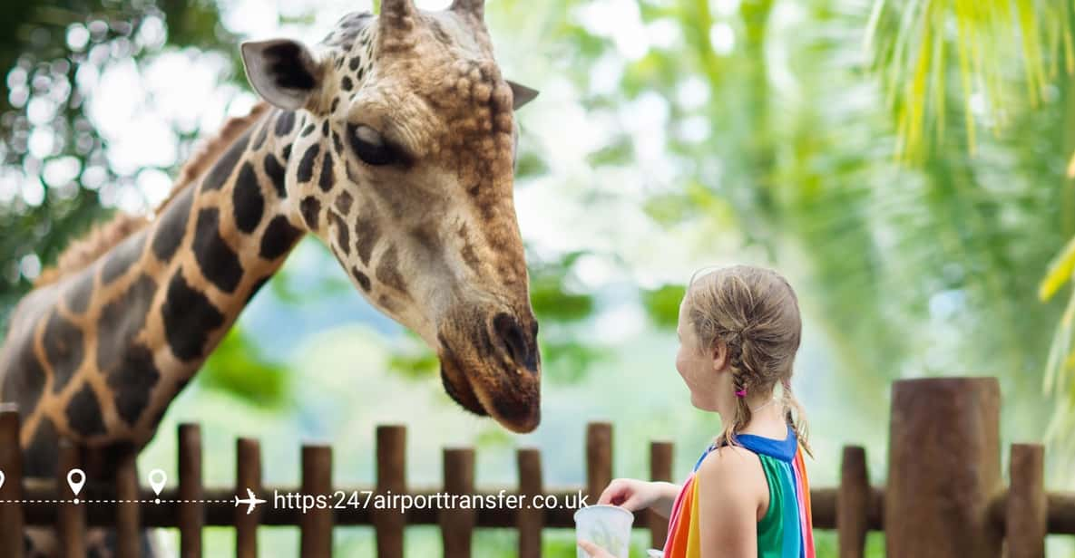 West Midland Safari Park Adventure: a Day With Wildlife - Exploring the Land of the Living Dinosaurs