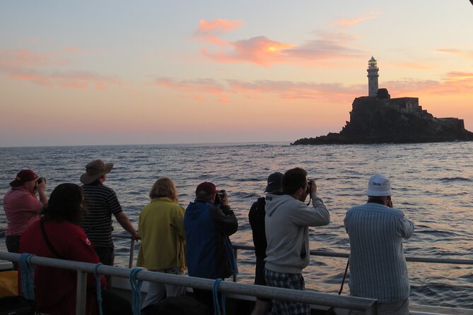 Whale & Dolphin Watching Tour - Whale and Dolphin Sightings