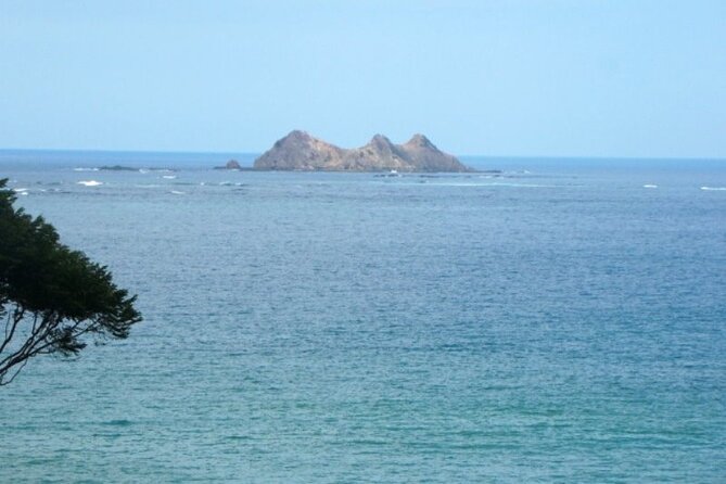 Whales and Dolphins Watching Tour From Manuel Antonio - Snorkeling Adventures in the Marine Park