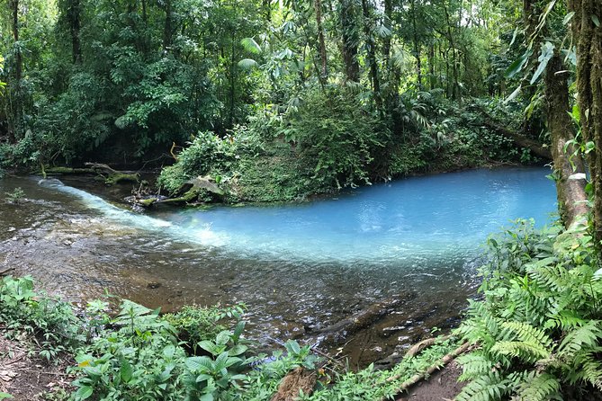 Wildlife Nature Hike, Blue Waterfall, Lunch & Sloth Trail - Tenorio Volcano Park - Inclusions and Logistics