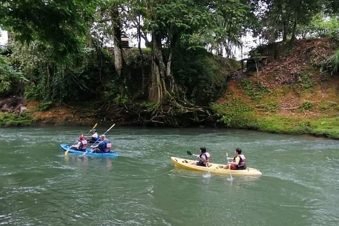 Wildlife Safari Experience by Kayak - Included in the Tour